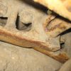 CAT CRAWLER LOADER- 951 - Image 15